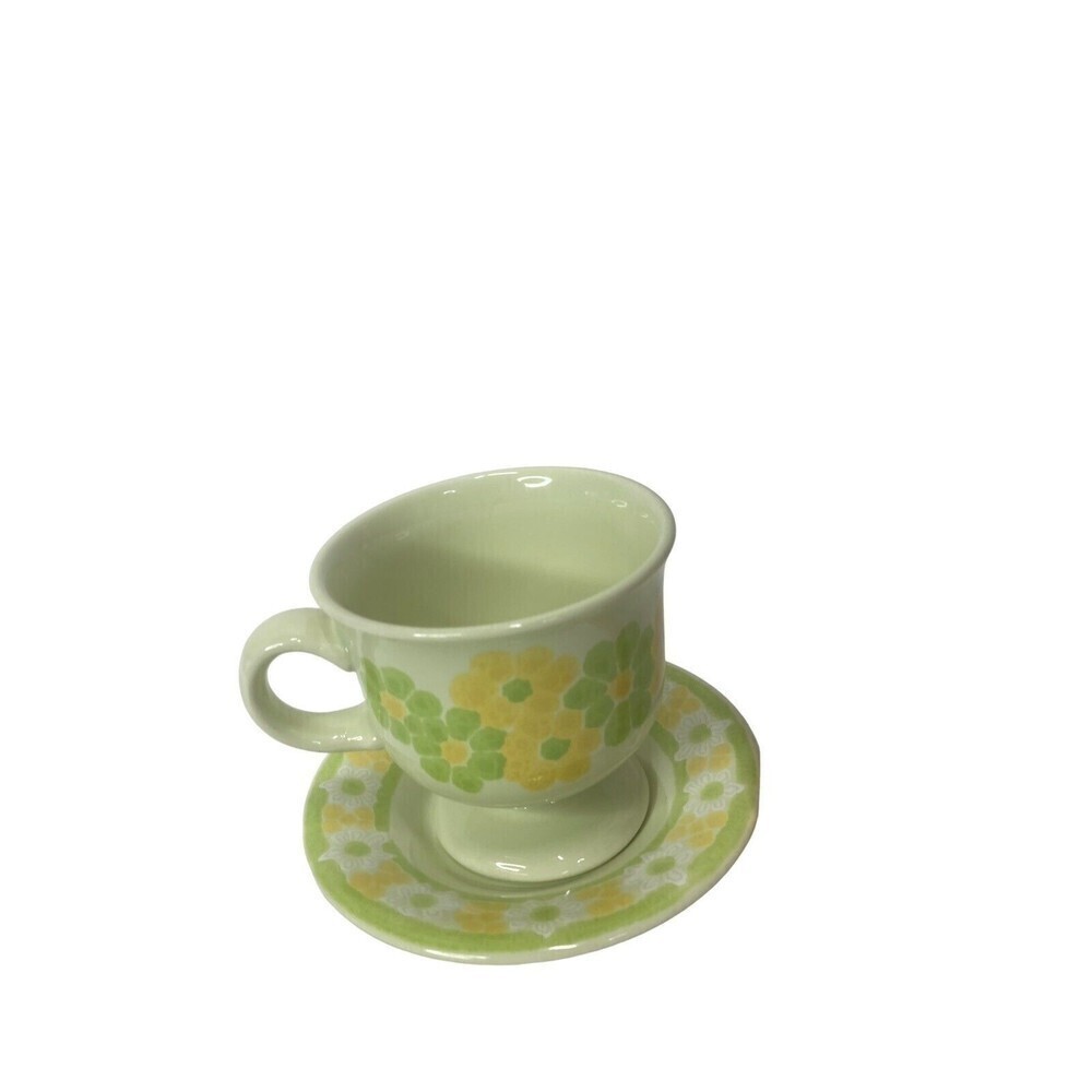 Vintage MCM Franciscan Earthenware Picnic Pattern Footed Cup & Saucer Set